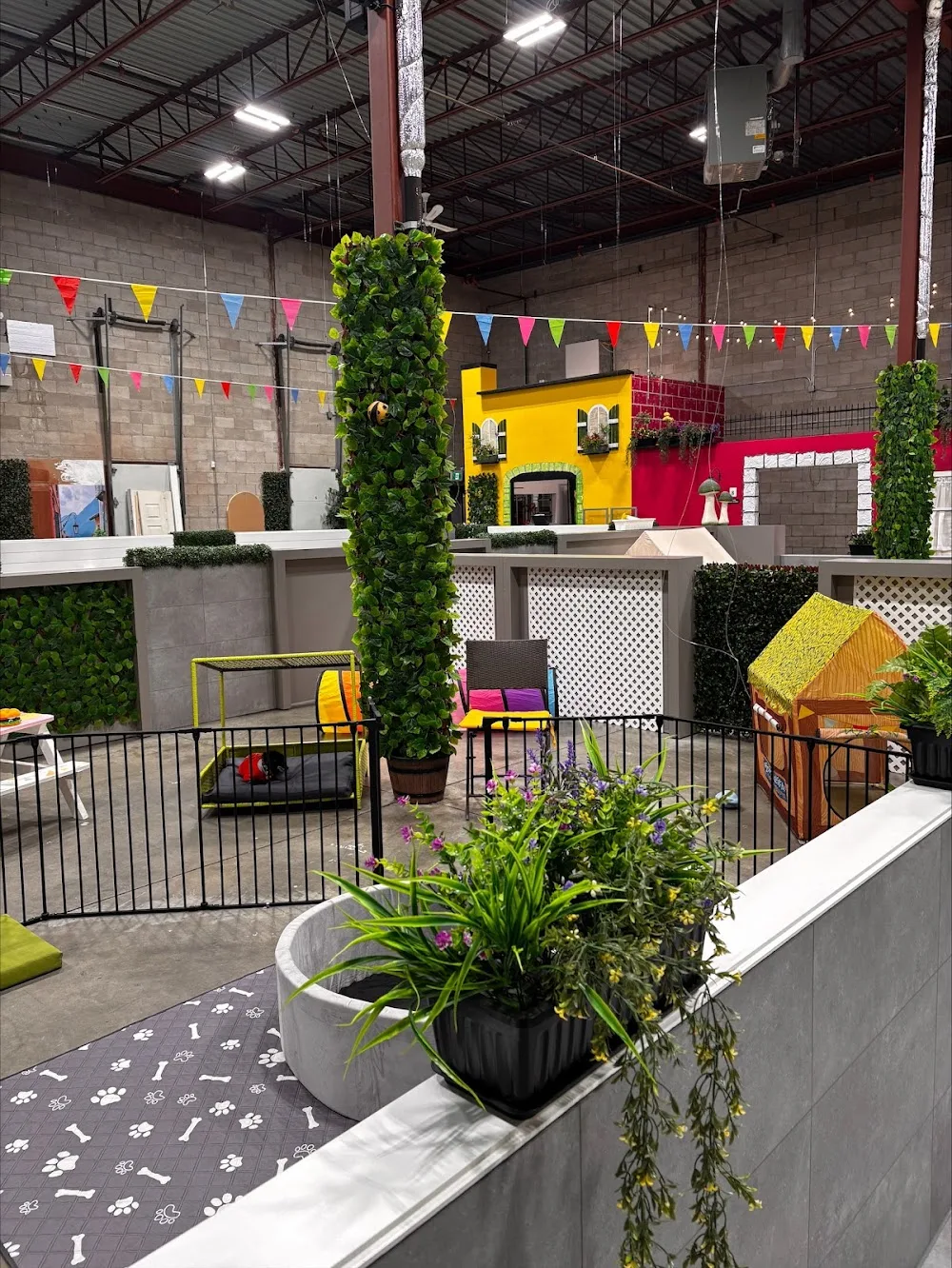 Choopa Centre Canin Inc. - Montreal pet otel
