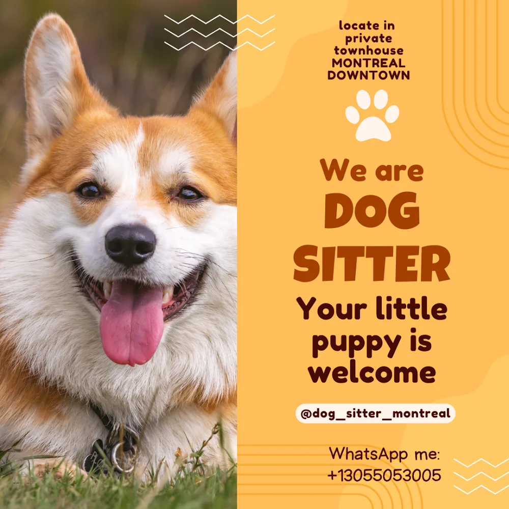 Dog Sitter Montreal - Montreal pet otel