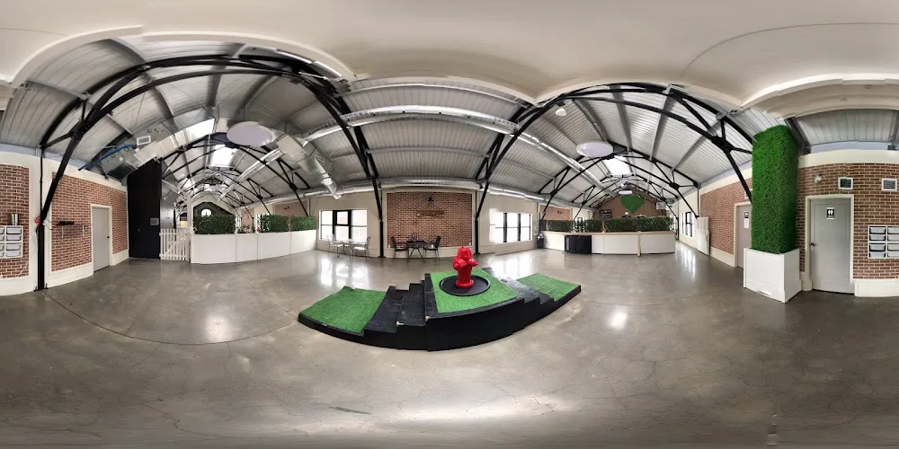 DOGGIEVILLE MTL - Montreal pet otel görseli 3