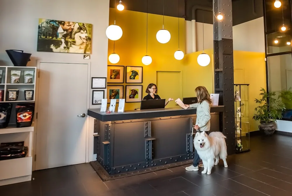 Hôtel MUZO - Montreal pet otel