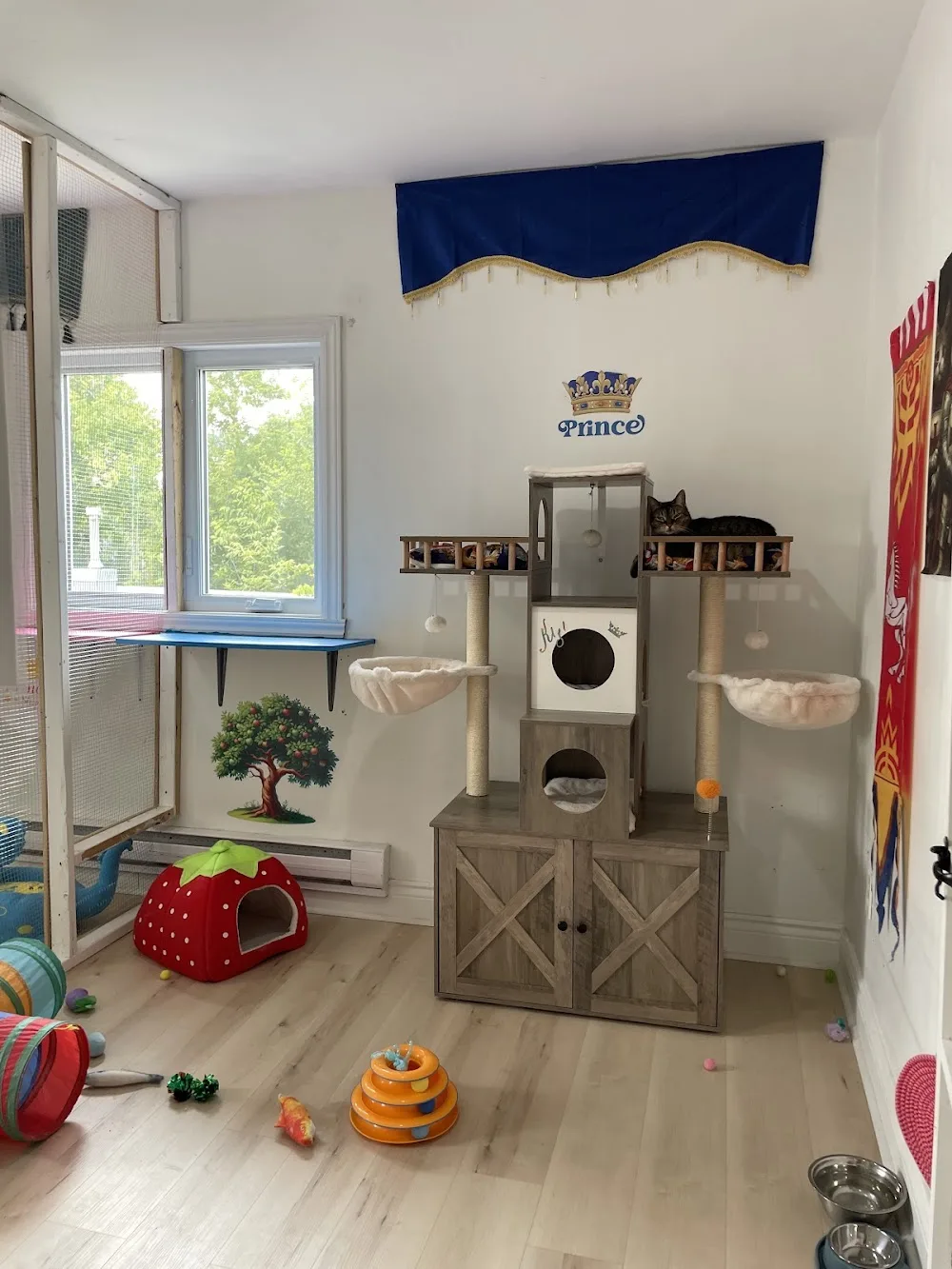 Petits vacanciers - Montreal pet otel görseli 3