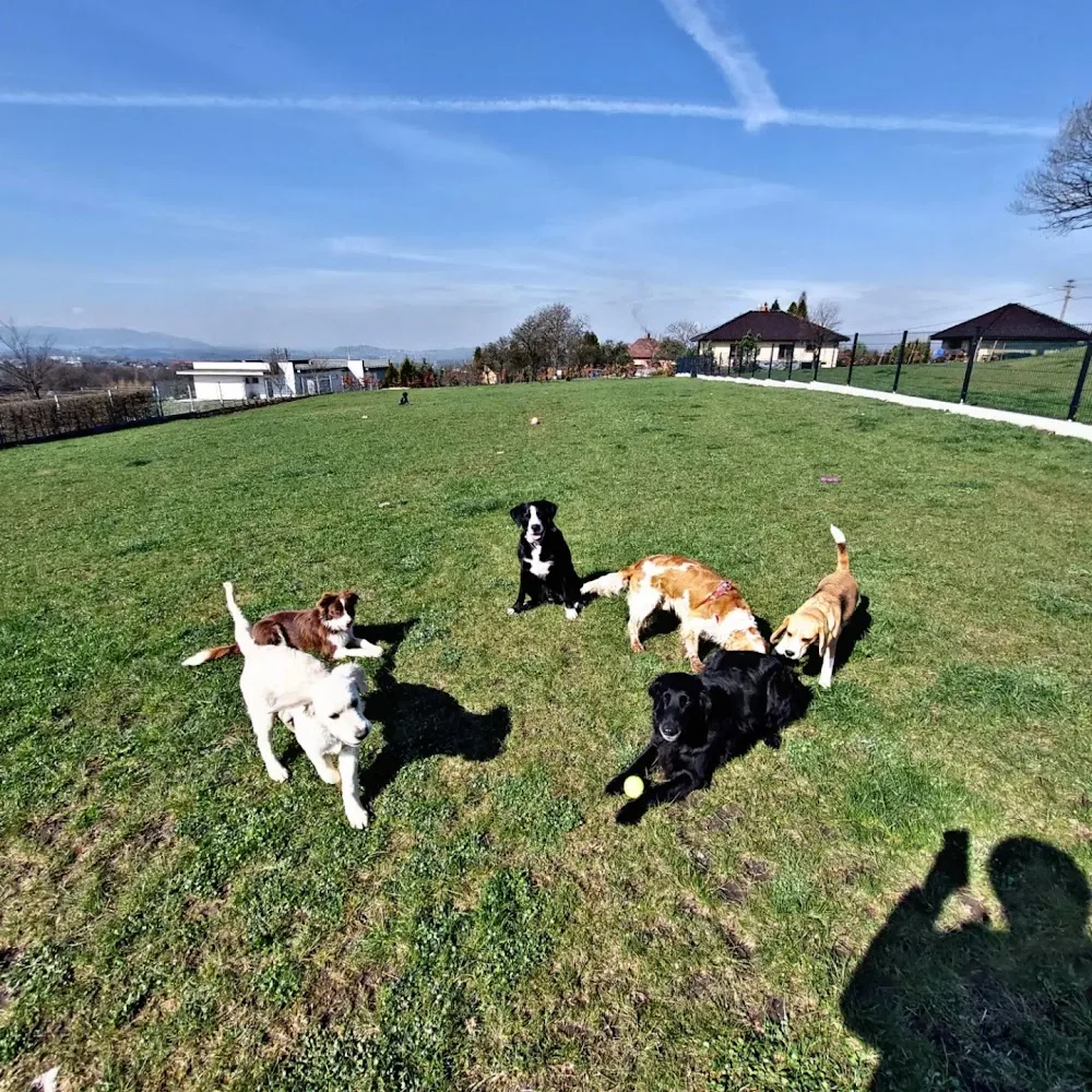 Beskydské psí centrum - rodinný psí hotel - Moravskoslezský kraj pet otel görseli 3