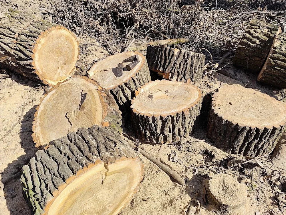 Městský útulek pro psy Radar - Moravskoslezský kraj pet otel görseli 6