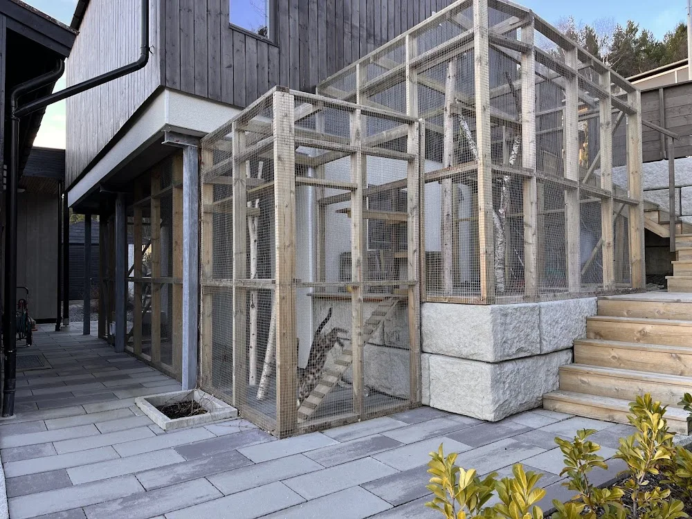 Det lille kattepensjonatet - Møre og Romsdal pet otel