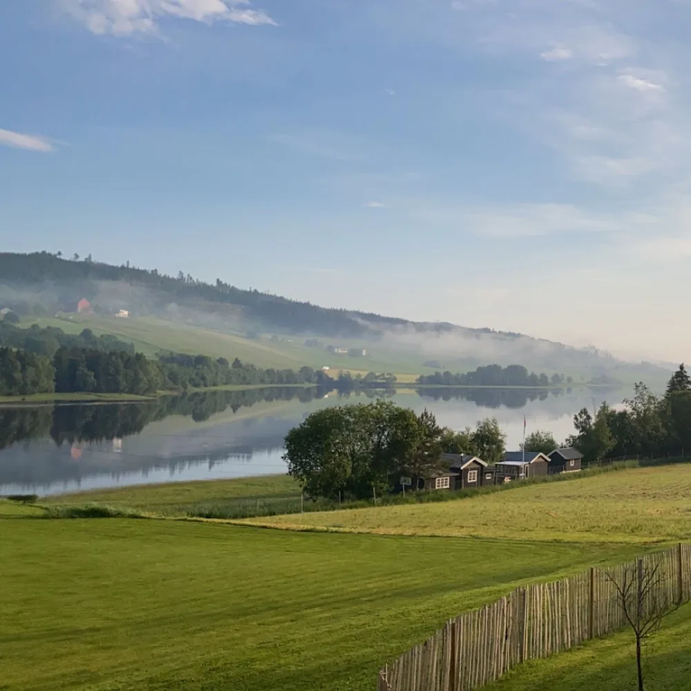 Hund med Hanne - Møre og Romsdal pet otel görseli 3