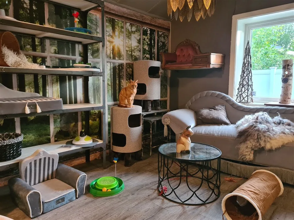 Solhaug Hundepensjonat - Møre og Romsdal pet otel görseli 3