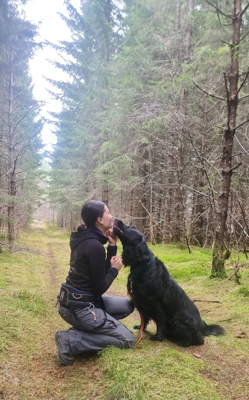 Sponberg hundepensjonat - Møre og Romsdal pet otel görseli 3
