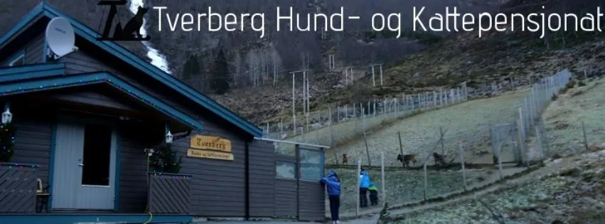 Tverberg hund- og kattepensjonat - Møre og Romsdal pet otel görseli 6