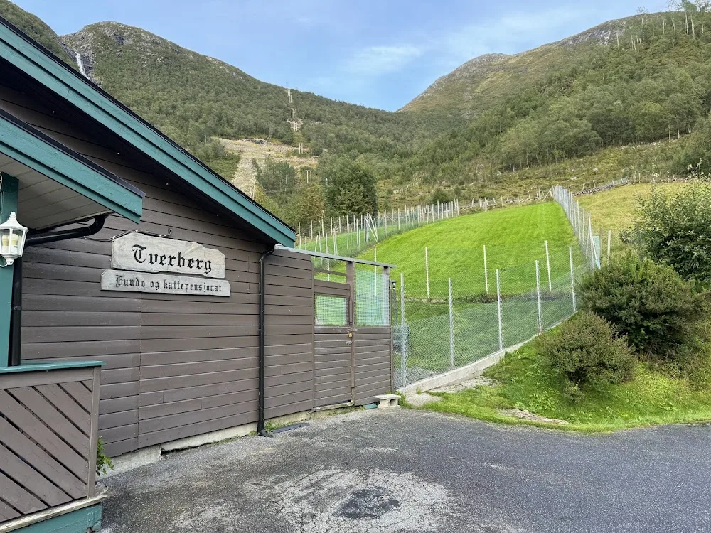 Tverberg hund- og kattepensjonat - Møre og Romsdal pet otel görseli 7