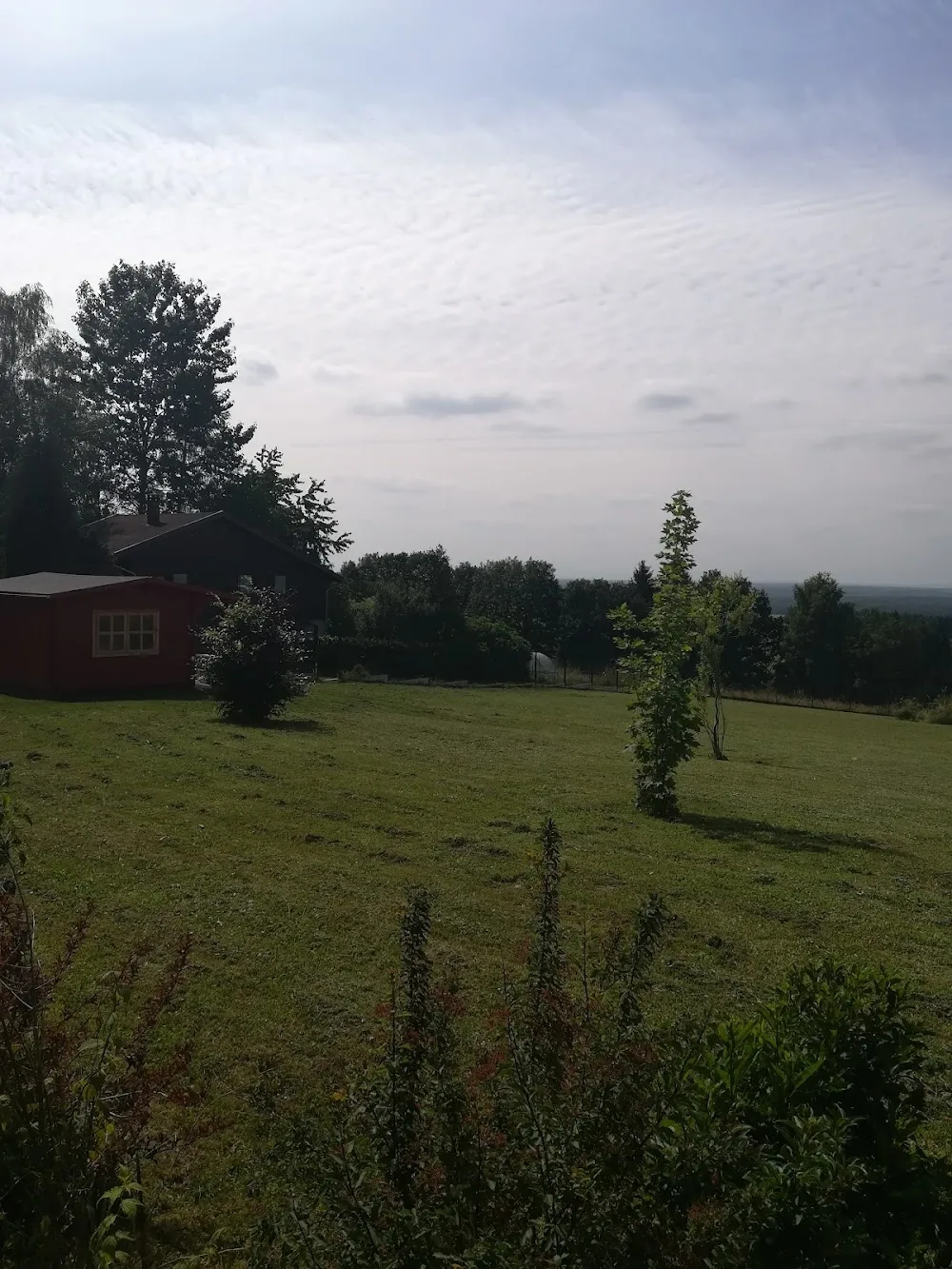 LIBERTY DOGS - Moselle pet otel