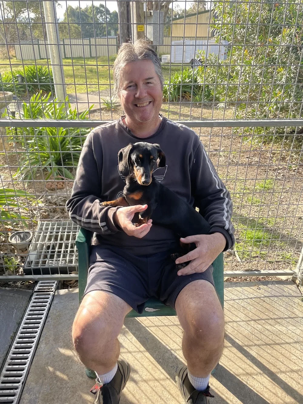 Ashby Lodge Boarding Kennels - Moss Vale pet otel görseli 3