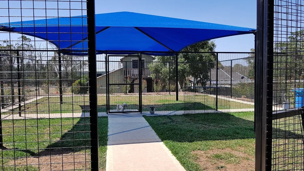 Canine Country Club & Cattery - Moss Vale pet otel görseli 3