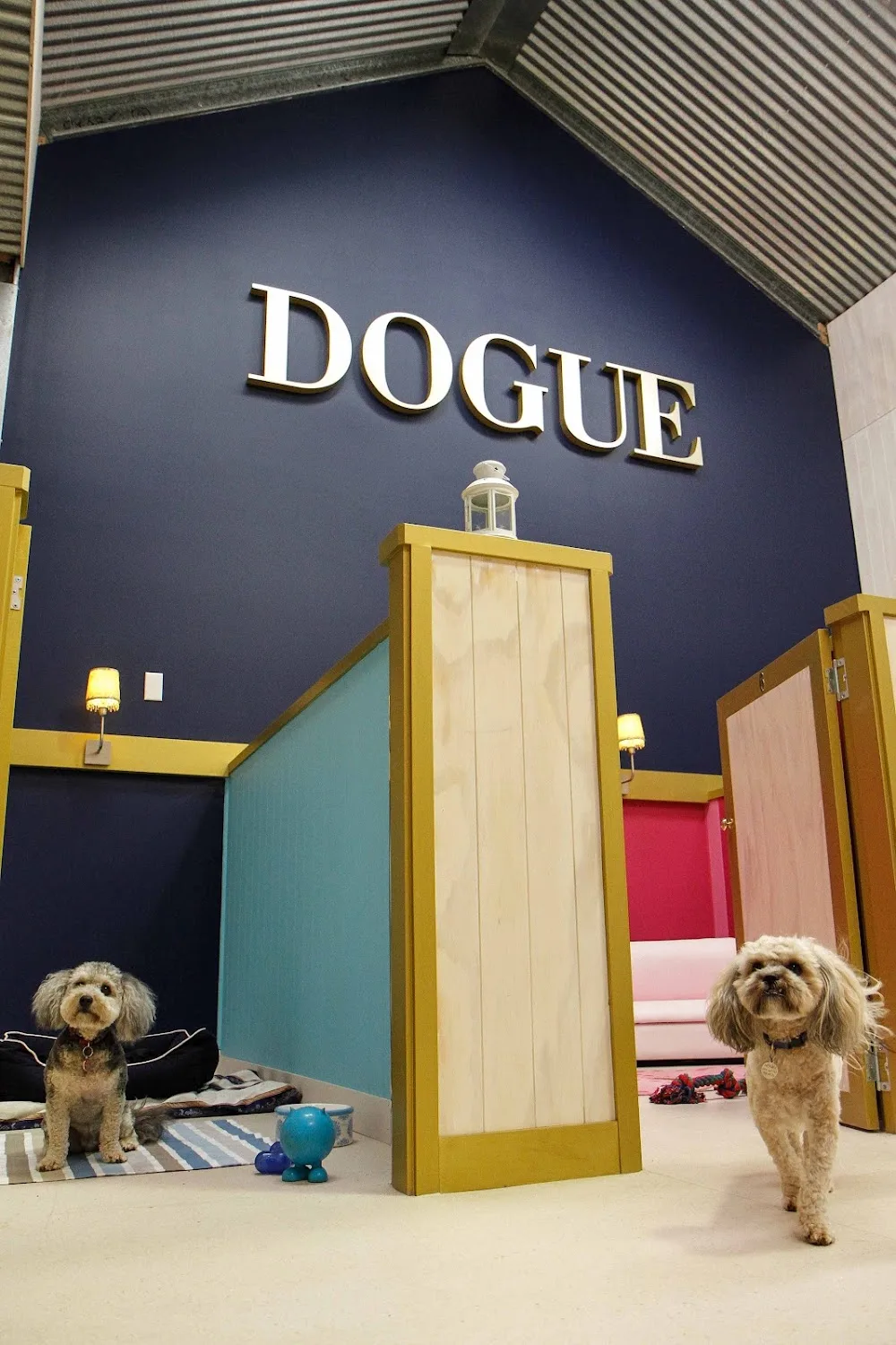 DOGUE Country Retreat - Moss Vale pet otel görseli 3