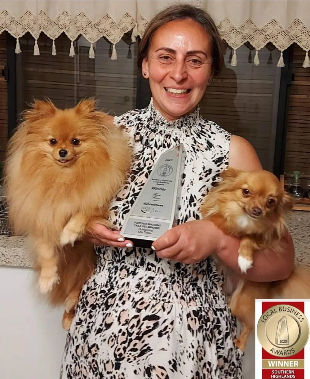 Forever wagging tails pet minding ( Southern Highlands and surrounding areas) - Moss Vale pet otel görseli 2