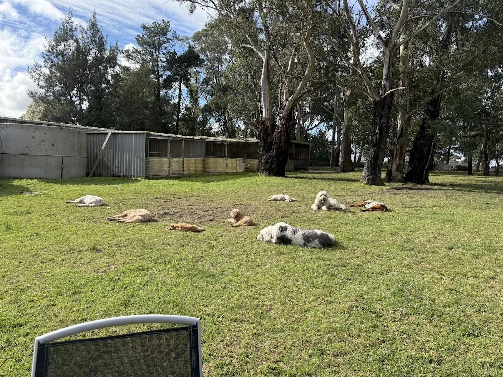 Whiskers n Tails Petcare - Moss Vale pet otel görseli 3