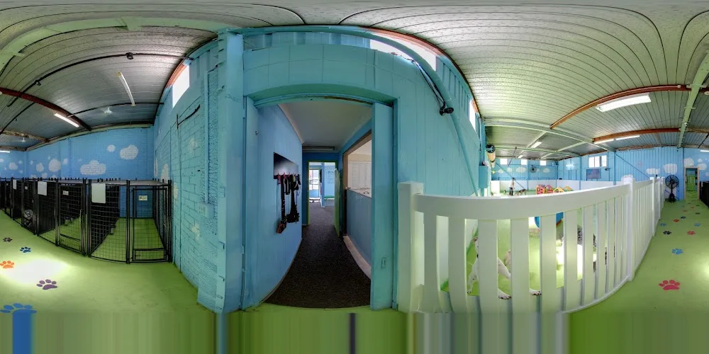 Woof Wonderland - Moss Vale pet otel görseli 3