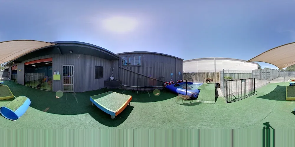 Woof Wonderland - Moss Vale pet otel görseli 4