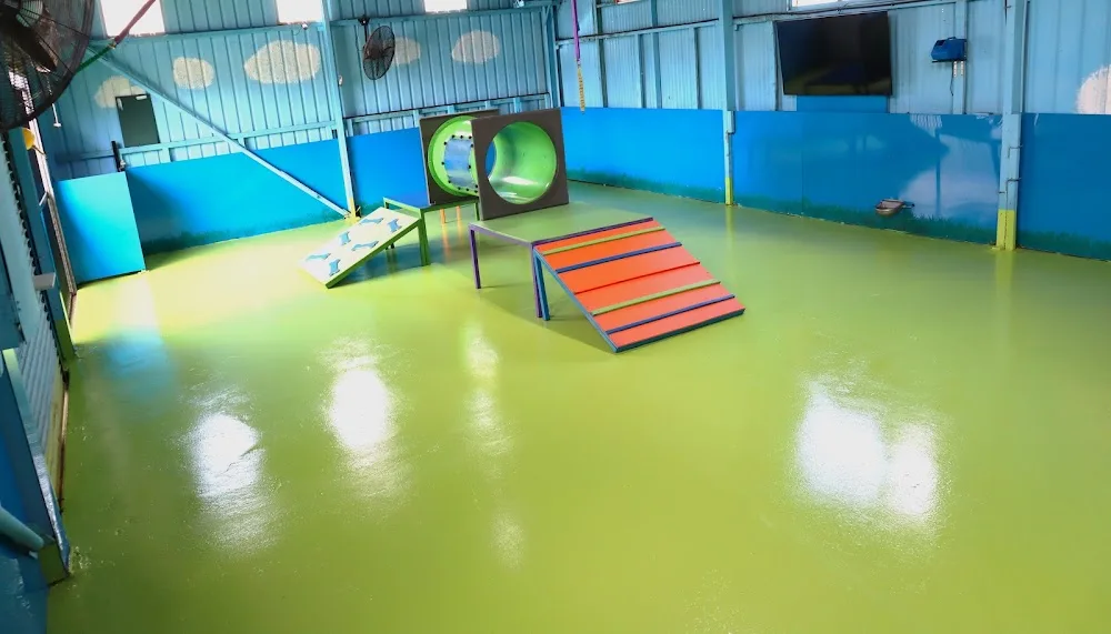 Woof Wonderland - Moss Vale pet otel görseli 5