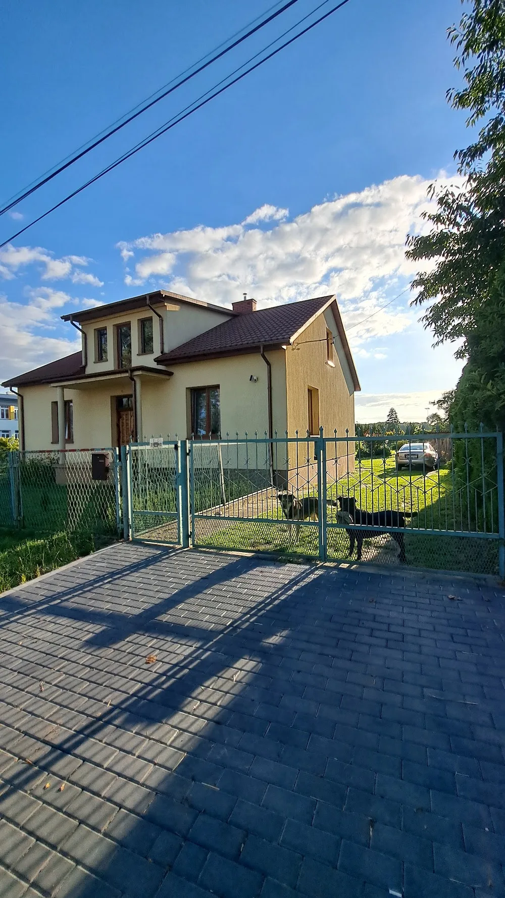 AnimalsDreams - hotel dla psów i trening psów - Mrozy pet otel