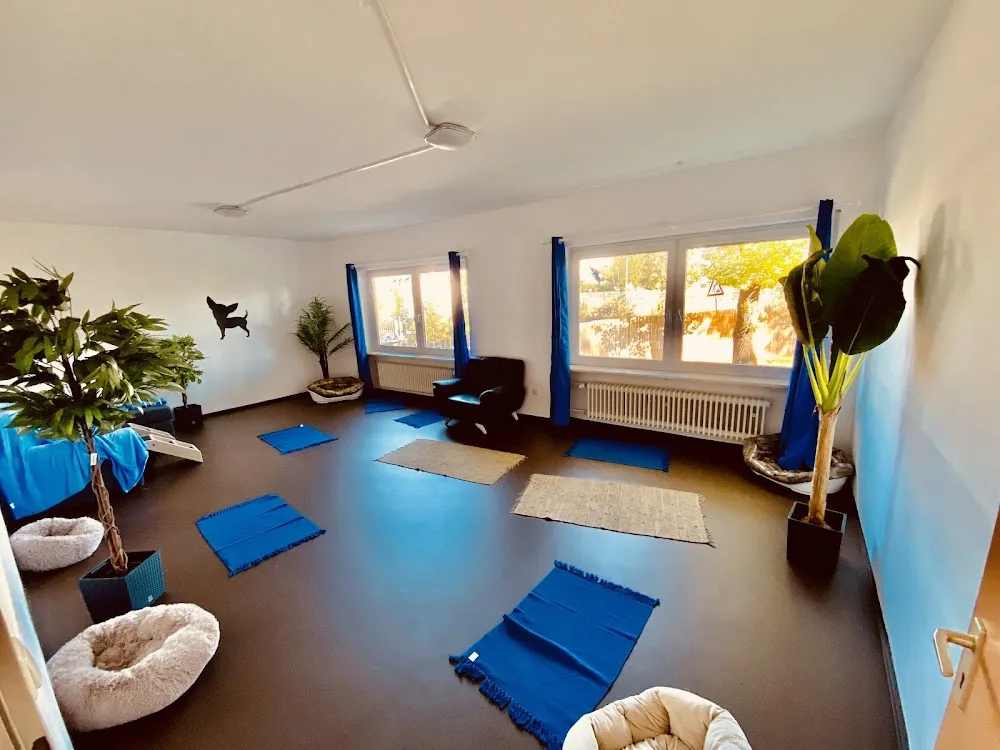 Dog Daycare Hundepension und Tagesstätte München - München pet otel görseli 3