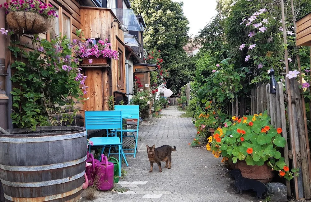 Fritzis Katzenpension - München pet otel görseli 3