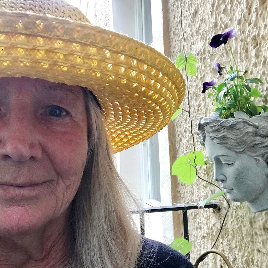 Fritzis Katzenpension - München pet otel görseli 5