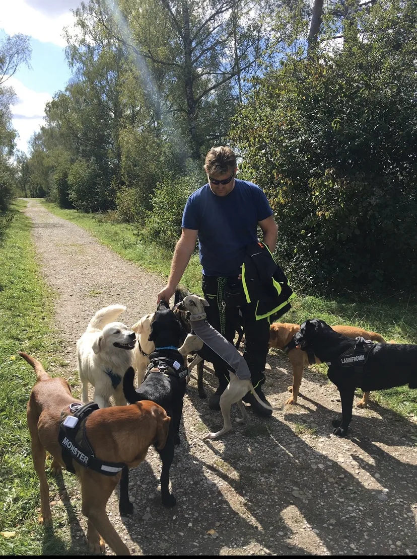 Hundebetreuung und Gassiservice Schobel - München pet otel