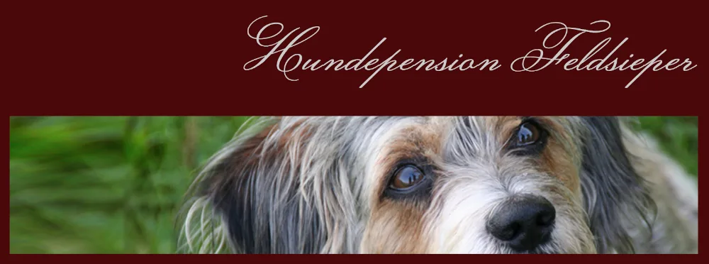 Hundepension Feldsieper - München pet otel