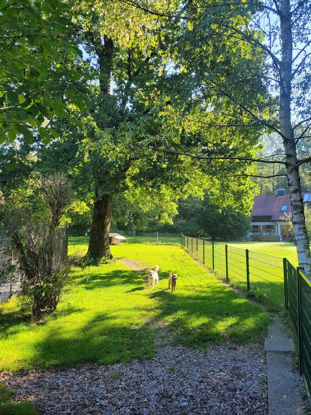 Hundepension Kufner GmbH - München pet otel