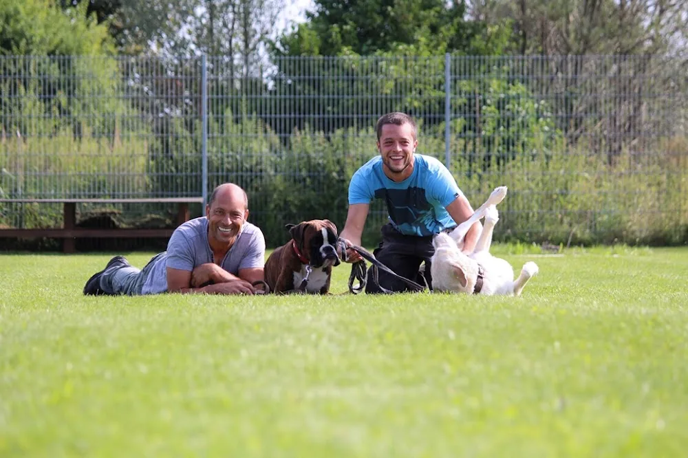 Hundeschule & Hundehotel Satke | Markus Satke - München pet otel görseli 3