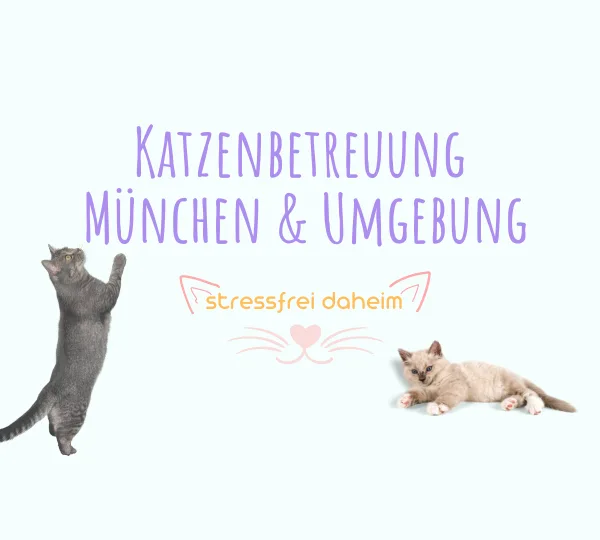 Katzenbetreuung-daheim - München pet otel görseli 6
