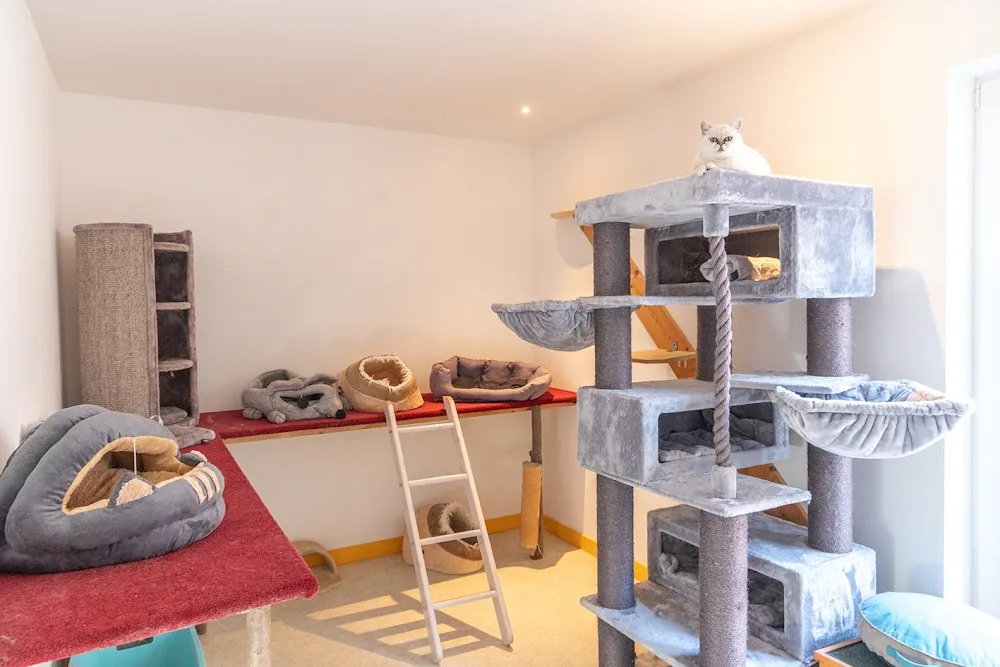 Katzenpension und Kleintierpension Anita Graf, Landkreis Ebersberg, nahe München - Katzen- und Kleintierpension Graf - München pet otel