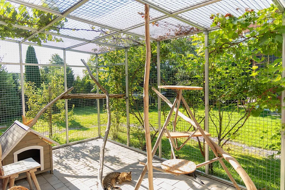 Katzenpension und Kleintierpension Anita Graf, Landkreis Ebersberg, nahe München - Katzen- und Kleintierpension Graf - München pet otel görseli 7