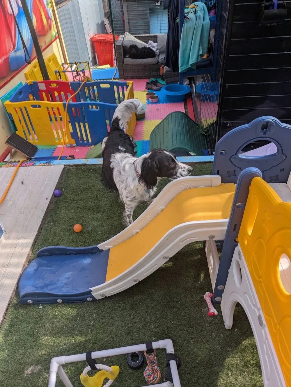 Bark Avenue Dog Hotel - Munster pet otel görseli 3