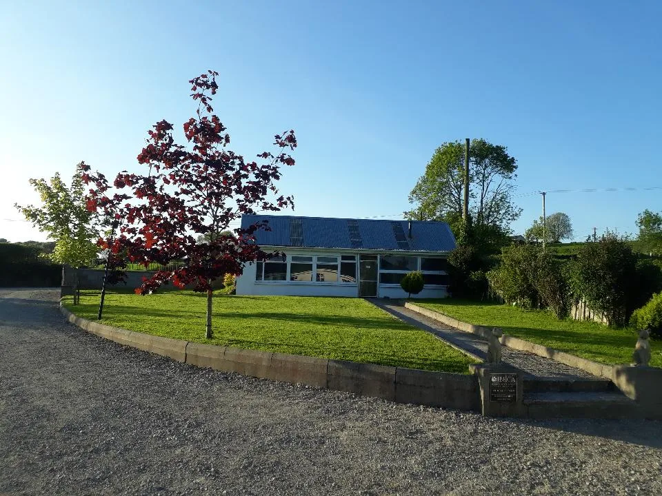 Cappagh View Cattery - Munster pet otel görseli 2