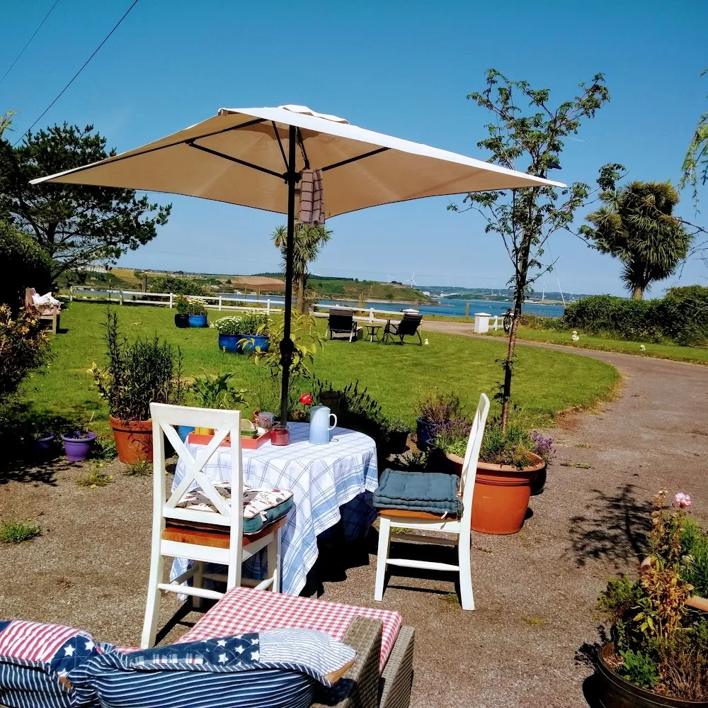 Country View Boarding Kennels and Dog Grooming Parlour - Munster pet otel görseli 5