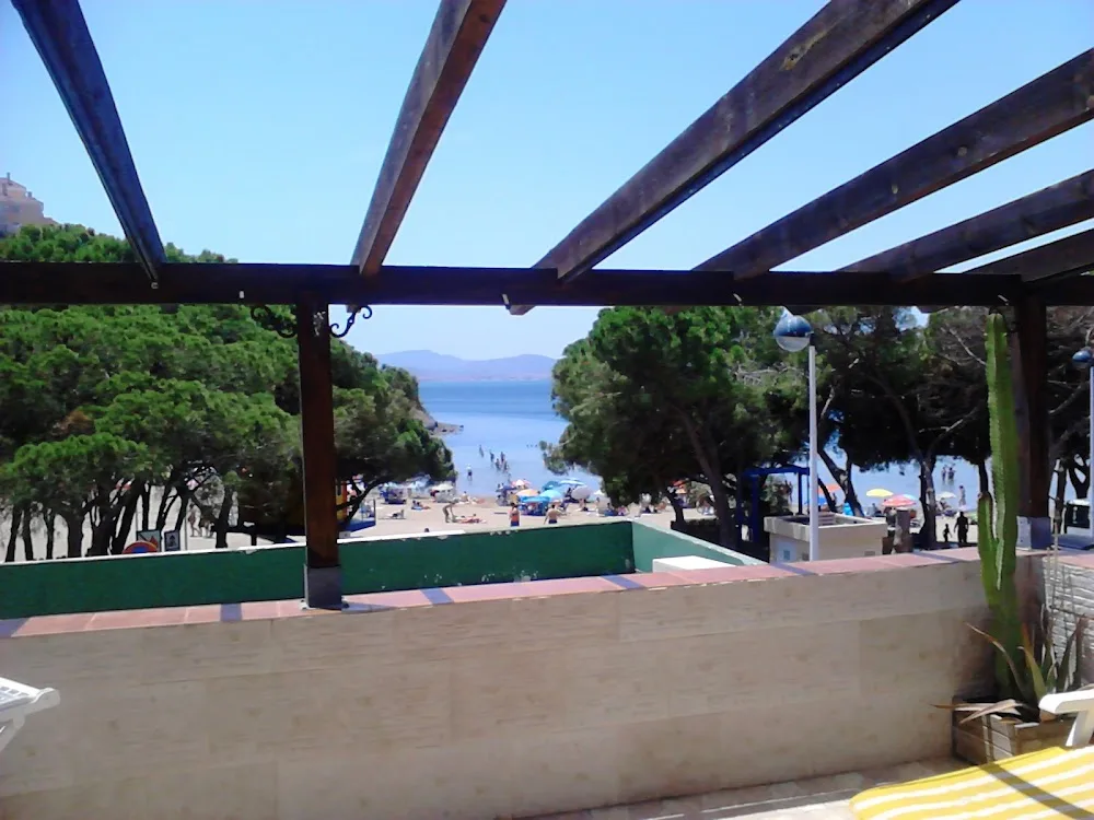 Anicartago - Murcia pet otel görseli 3