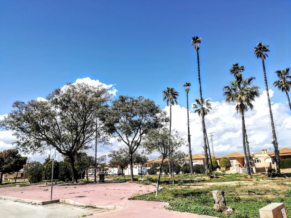 Centro Canino La Almazara - Murcia pet otel görseli 3