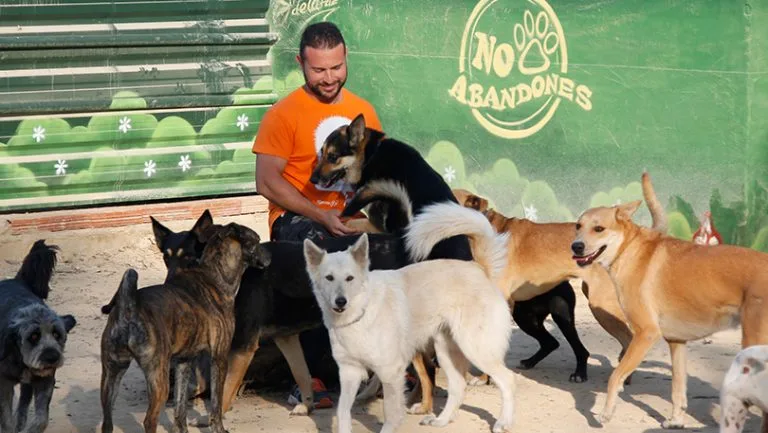 Hotel Canino Somos Muy Perros - Murcia pet otel