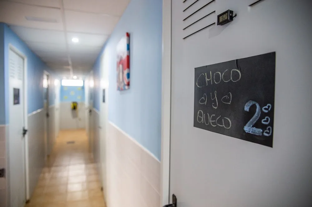 Hotel Canino Somos Muy Perros - Murcia pet otel görseli 3