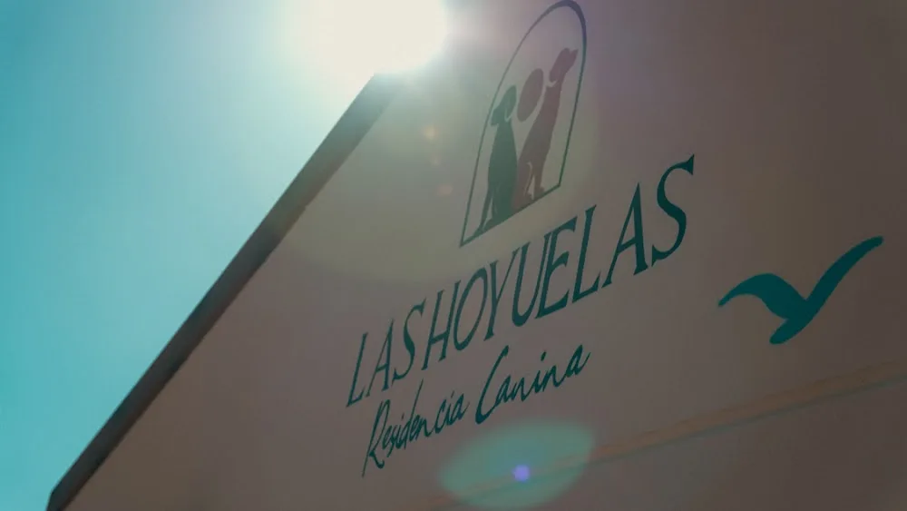 Las Hoyuelas Residencia Canina - Murcia pet otel görseli 2
