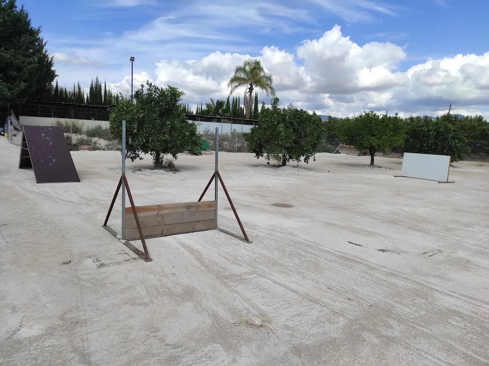 MurciaSportcan - Murcia pet otel görseli 3