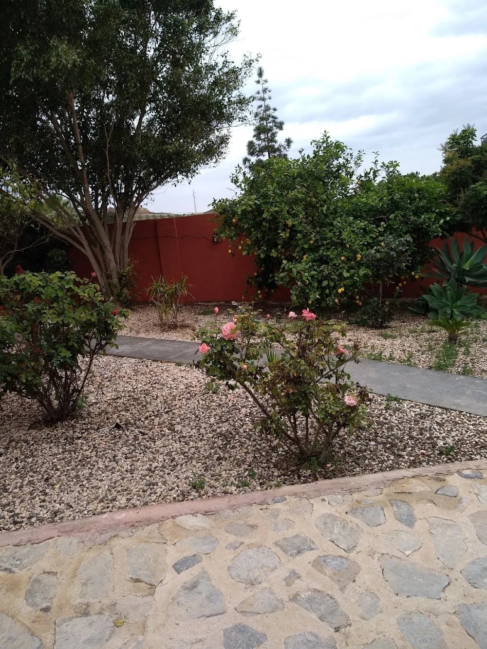 Residencia Canina La Aldea - Murcia pet otel görseli 2