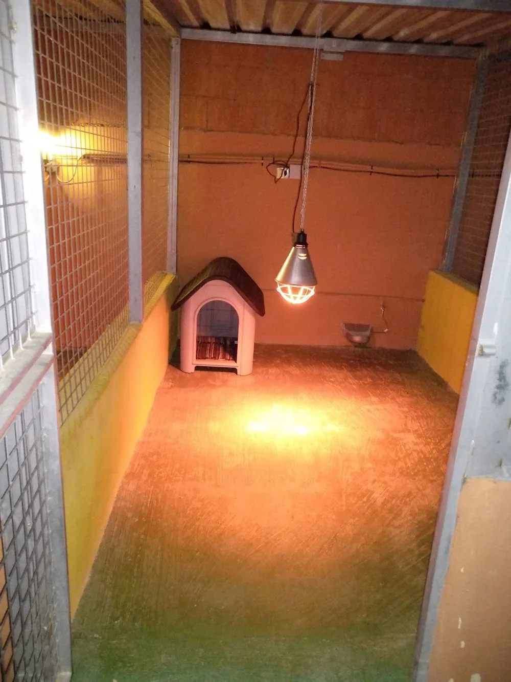 Residencia Canina La Aldea - Murcia pet otel görseli 3