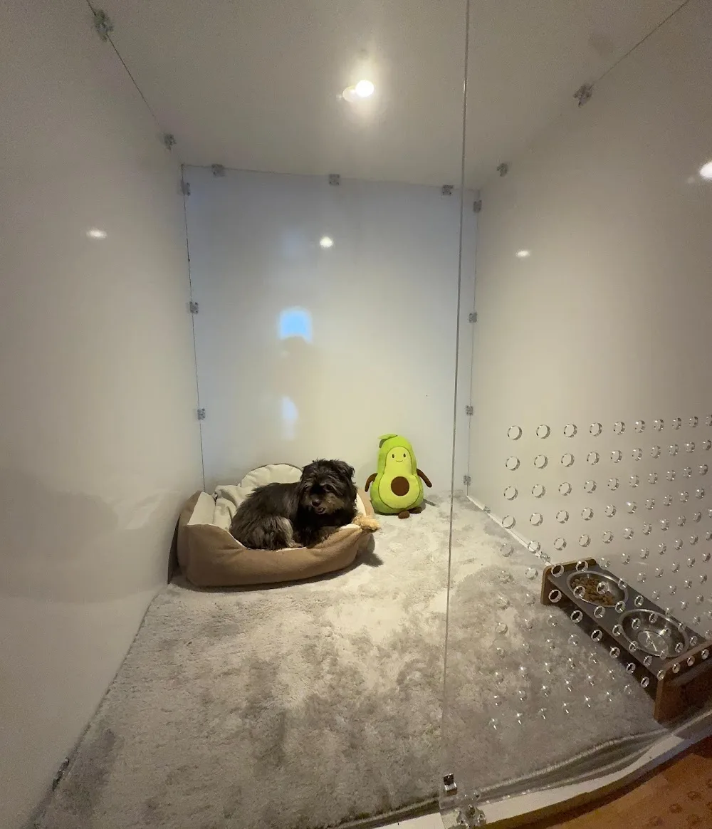 Mutlu Patim Kedi Oteli - Istanbul pet otel görseli 2