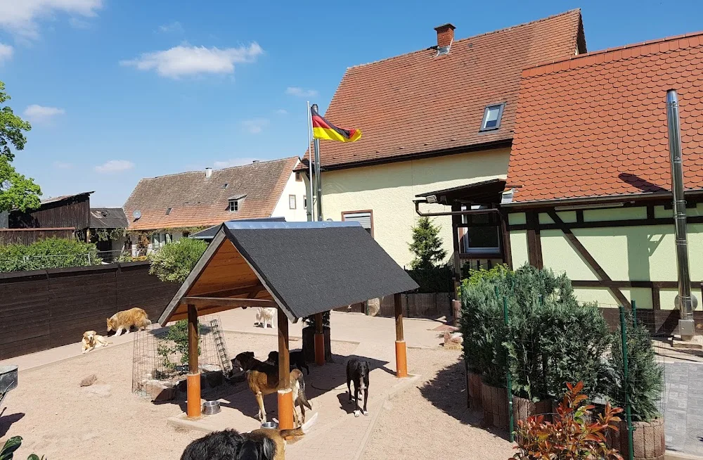 Anjas Hundesitting - Mutterstadt pet otel