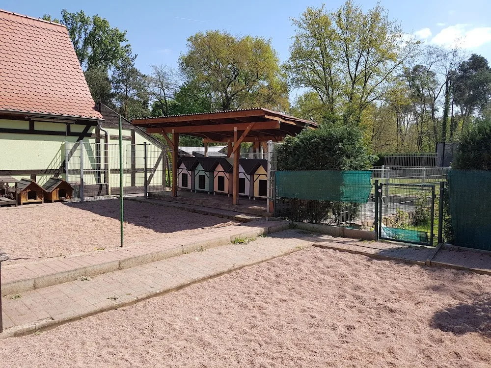 Anjas Hundesitting - Mutterstadt pet otel görseli 3