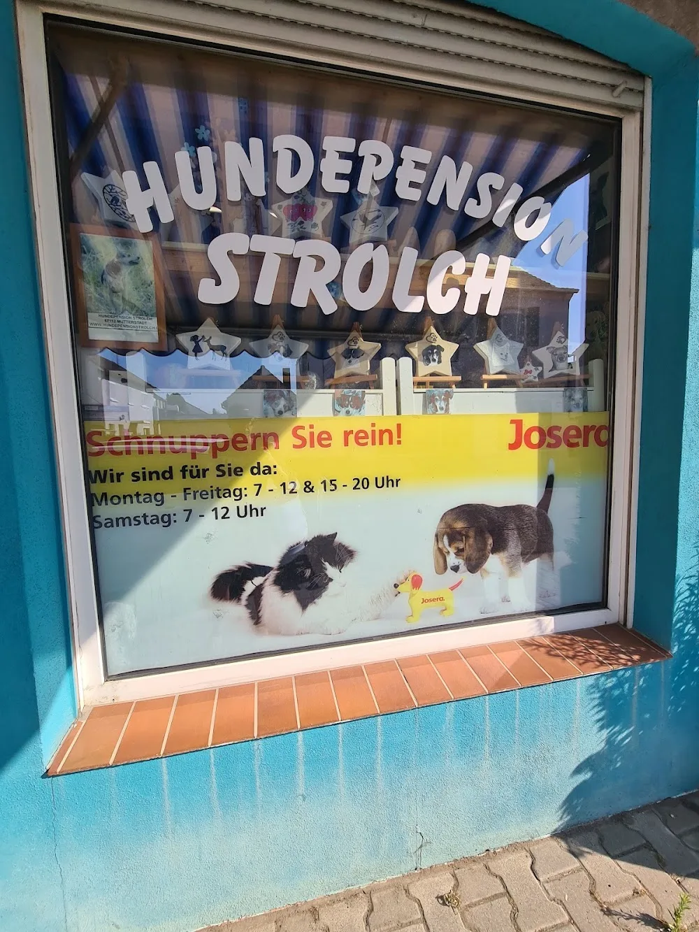 Hundepension Strolch - Mutterstadt pet otel görseli 3