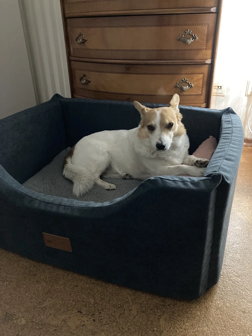 Zenke Manuela Hundepension Frankenthal - Mutterstadt pet otel
