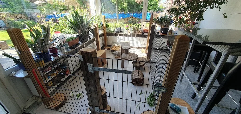 Zimmermanns Kleintierpension - Mutterstadt pet otel görseli 2